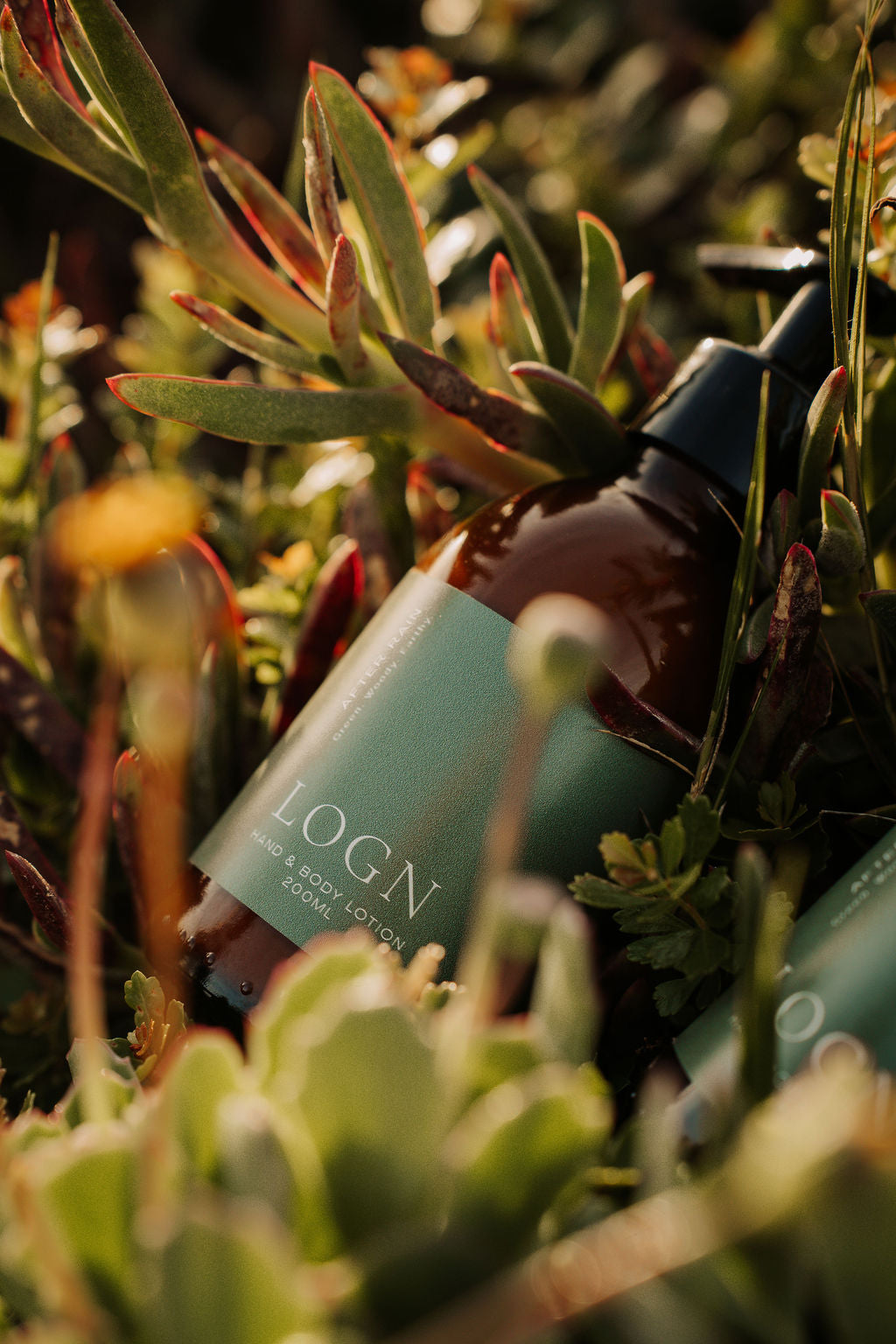 Hand and Body Lotion | After Rain - Amber Bottle