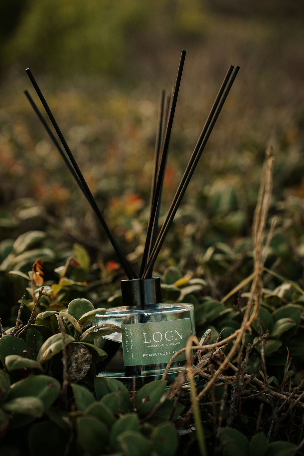 Fragrance Diffuser | After Rain